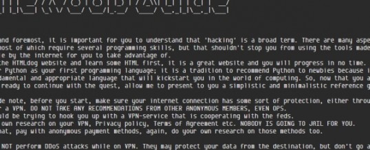 La guida di Anonymous per hacker “noob” – Link a The Noob Guide